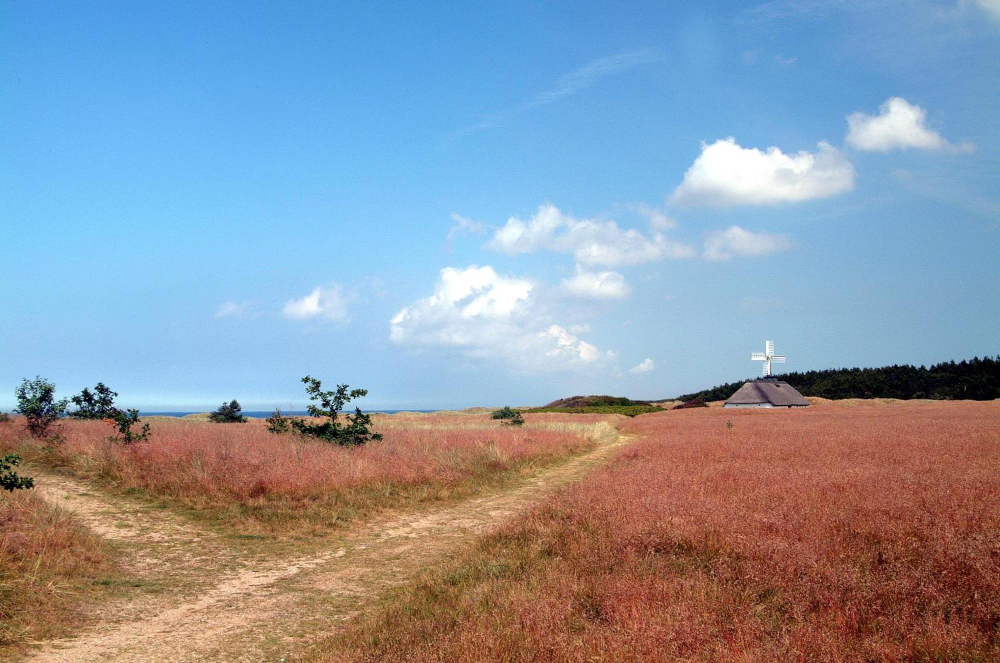 Nordkap Farm Holiday & Hostel Bindslev Kültér fotó