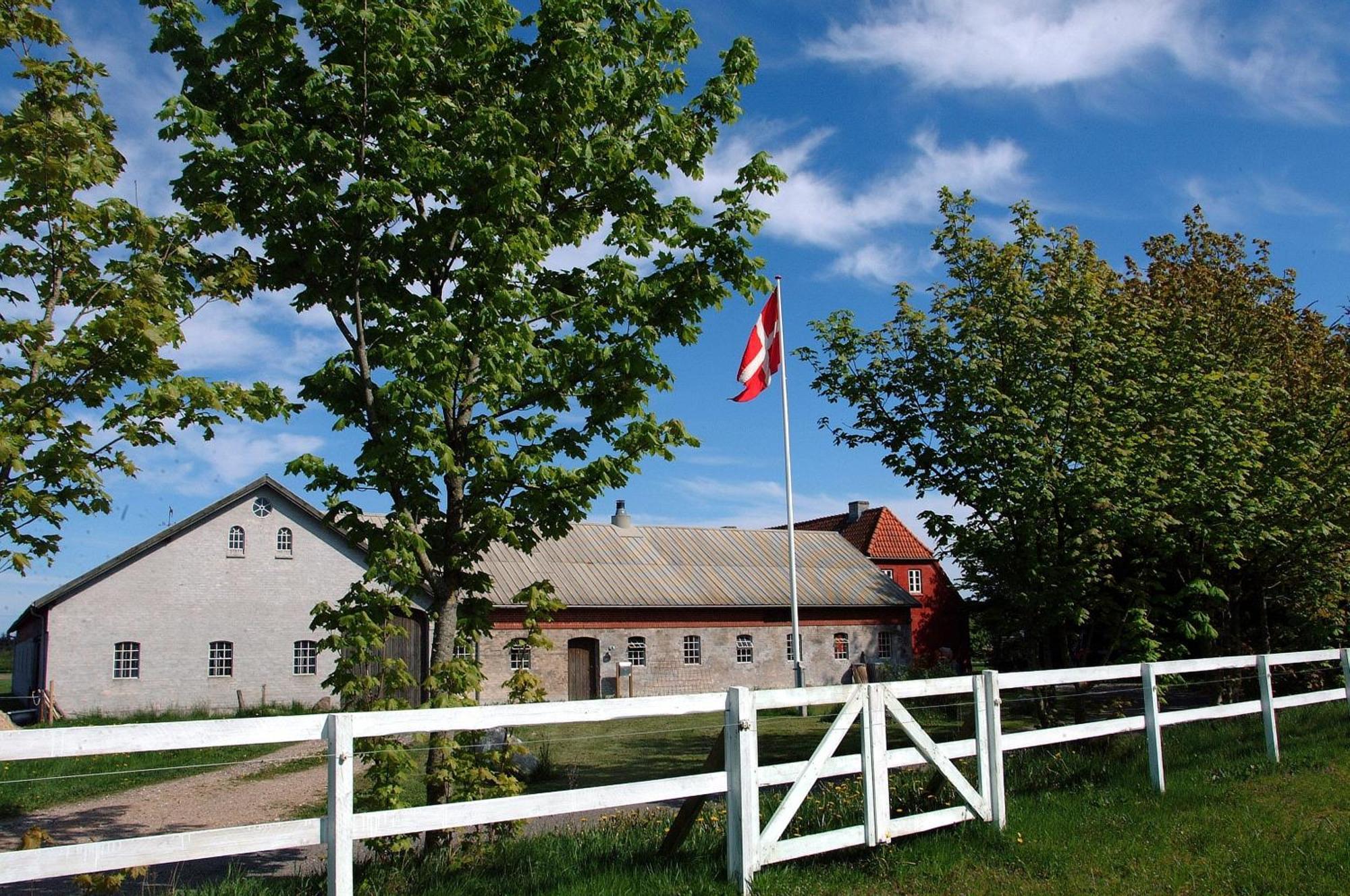 Nordkap Farm Holiday & Hostel Bindslev Kültér fotó